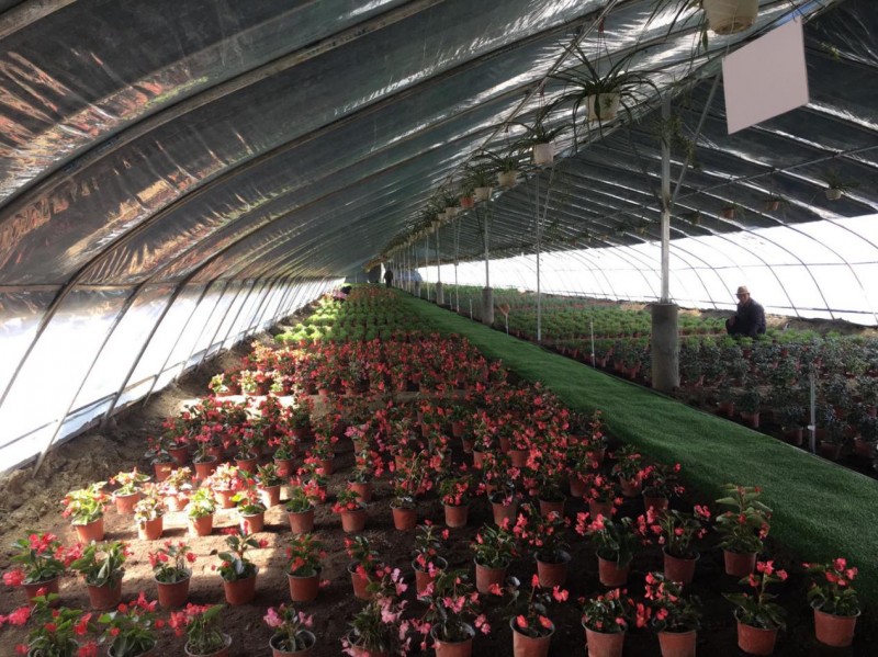 中利集團(tuán):“貧困村光伏農(nóng)場(chǎng)”惠及西藏深度貧困地區(qū)