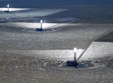 如何守護(hù)光熱電站廠區(qū)內(nèi)的野生動(dòng)植物?看海外幾個(gè)光熱項(xiàng)目是如何做的