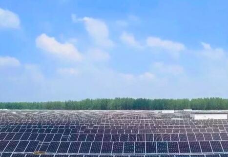 林洋劉口鄉當店王村70MW農光互補光伏電站 探索光伏+農業新模式