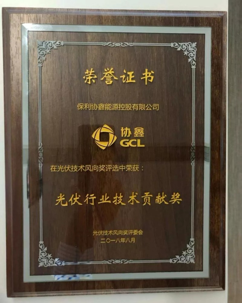 引領黑硅高效光伏,保利協鑫榮膺“光伏行業技術貢獻獎”