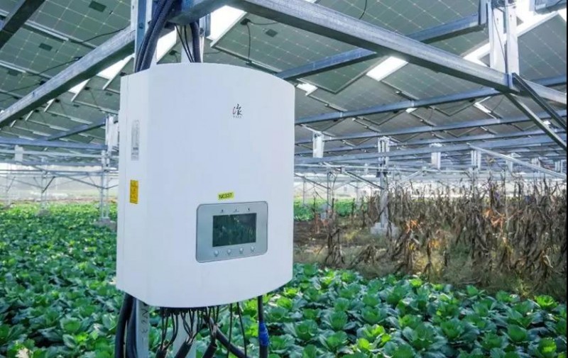 據央視記者報道,近日,錦浪科技助力湖北省宜城王集鎮觀音村,采用典型的“農光互補”模式,實現了全村人共同“生態收益”的目標,引起了廣大人民群眾的熱烈反響。 走進光伏電站區,首先映入眼簾的是一片藍汪汪的光伏海洋,一望無際,若是走近仔細一看,才發現這么一大片區域里不完全是光伏板,原來在光伏板下邊還有另一片“柳暗花明”的天地,綠油油的青菜鋪滿整塊地面實在好看極了。 據記者報道,這便是觀音村這兩年響應國家“精準扶貧”和“光伏扶貧”政策,投資2億元建成20MWP“農光互補”地面光伏電站。此電站光伏支架采用的是同景新能源的跟蹤支架,逆變器采用了錦浪科技公司的50kW逆變器,以它相對較小的外形,為運輸免去了不少成本,提供了便捷安裝;4路MPPT接入,每路額定28.5A,兼容大功率組件,設計更靈活;充分的冗余設計保障逆變器長壽命可靠運行。 同景新能源有限公司總經理郤維平在現場對記者解釋,“我們主要的優勢是跟蹤,我們有500臺跟蹤器可以自動跟蹤,也就是我們常說的‘光伏板跟著太陽走’,這樣他與其它電站相比,它是固定式的,我們的發電量同比要增加20%。”他接著說道,“我們不破壞土地,活動支架,我們平時看到的可能都是打樁式的,而我們這個是小水泥塊,直接放在土地表面,可以自由移動。”這種獨特安全的安裝方式得到農民的大力支持。 據現場村民說,這里的主要農作物有黃精,桔梗,花生,魔芋等,以黃精價值尤為突出,黃精作為一種名貴藥材喜歡蔭涼,所以光伏板既全方位吸收了太陽能,又很好的為農作物起到了遮陽的作用;它的生長周期需要兩三年,然而價值非常可觀,給他們帶來相當不錯的收益。 王集鎮觀音村這種典型的“農光互補”模式,正是利用較少的投資獲得更多的利益,實現了“光伏脫貧”的“生態效益”的目的,還讓當地農民每年有了一份固定的收入。據統計,一畝地一年能收入5萬元,人均年收入可達2.5萬元以上。 國家近年來推行的“光伏扶貧”政策越來越深入人心,讓一批又一批的農民走上了脫貧致富的道路,我們也希望更多的農民能夠利用這種“農光互補”的模式,早日擺脫貧困生活,實現共同富裕。