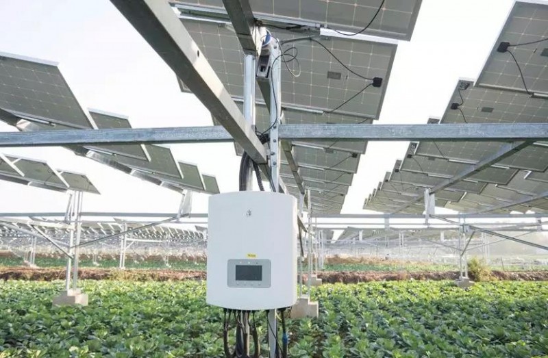 　　據央視記者報道，近日，錦浪科技助力湖北省宜城王集鎮觀音村，采用典型的“農光互補”模式，實現了全村人共同“生態收益”的目標，引起了廣大人民群眾的熱烈反響。 　　 　　走進光伏電站區，首先映入眼簾的是一片藍汪汪的光伏海洋，一望無際，若是走近仔細一看，才發現這么一大片區域里不完全是光伏板，原來在光伏板下邊還有另一片“柳暗花明”的天地，綠油油的青菜鋪滿整塊地面實在好看極了。 　　 　　據記者報道，這便是觀音村這兩年響應國家“精準扶貧”和“光伏扶貧”政策，投資2億元建成20MWP“農光互補”地面光伏電站。此電站光伏支架采用的是同景新能源的跟蹤支架，逆變器采用了錦浪科技公司的50kW逆變器，以它相對較小的外形，為運輸免去了不少成本，提供了便捷安裝；4路MPPT接入，每路額定28.5A，兼容大功率組件，設計更靈活；充分的冗余設計保障逆變器長壽命可靠運行。 　　 　　同景新能源有限公司總經理郤維平在現場對記者解釋，“我們主要的優勢是跟蹤，我們有500臺跟蹤器可以自動跟蹤，也就是我們常說的‘光伏板跟著太陽走’，這樣他與其它電站相比，它是固定式的，我們的發電量同比要增加20%。”他接著說道，“我們不破壞土地，活動支架，我們平時看到的可能都是打樁式的，而我們這個是小水泥塊，直接放在土地表面，可以自由移動。”這種獨特安全的安裝方式得到農民的大力支持。 　　 　　據現場村民說，這里的主要農作物有黃精，桔梗，花生，魔芋等，以黃精價值尤為突出，黃精作為一種名貴藥材喜歡蔭涼，所以光伏板既全方位吸收了太陽能，又很好的為農作物起到了遮陽的作用；它的生長周期需要兩三年，然而價值非常可觀，給他們帶來相當不錯的收益。 　　 　　王集鎮觀音村這種典型的“農光互補”模式，正是利用較少的投資獲得更多的利益，實現了“光伏脫貧”的“生態效益”的目的，還讓當地農民每年有了一份固定的收入。據統計，一畝地一年能收入5萬元，人均年收入可達2.5萬元以上。 　　 　　國家近年來推行的“光伏扶貧”政策越來越深入人心，讓一批又一批的農民走上了脫貧致富的道路，我們也希望更多的農民能夠利用這種“農光互補”的模式，早日擺脫貧困生活，實現共同富裕。