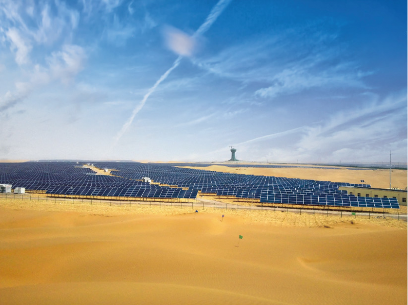 大戈壁上的“領跑者”